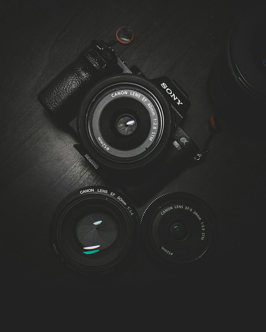 Portrait Photography
